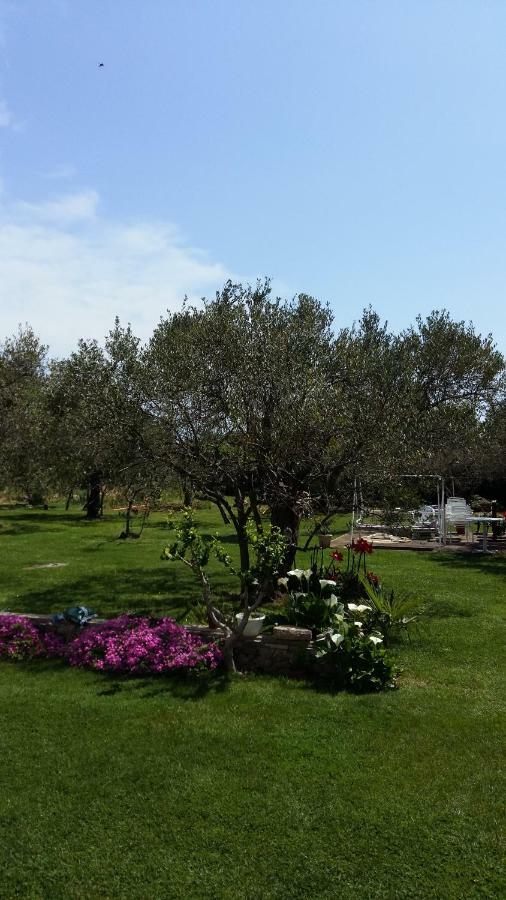 Villa Spanja Vodice Buitenkant foto